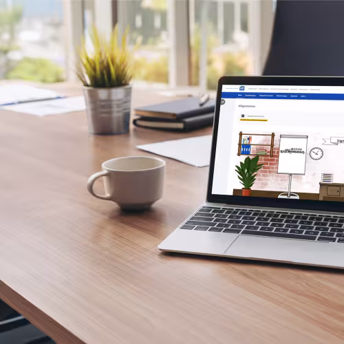 Case Study Mentor GmbH