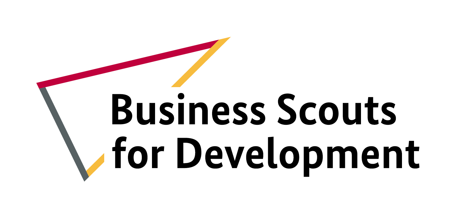 Business Scouts for Development